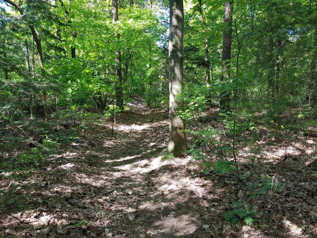 Knusse 5 Persoons Bungalow Hartje Veluwe 欧特罗 外观 照片