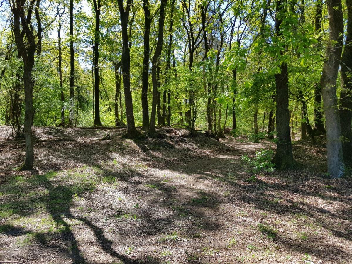 Knusse 5 Persoons Bungalow Hartje Veluwe 欧特罗 外观 照片