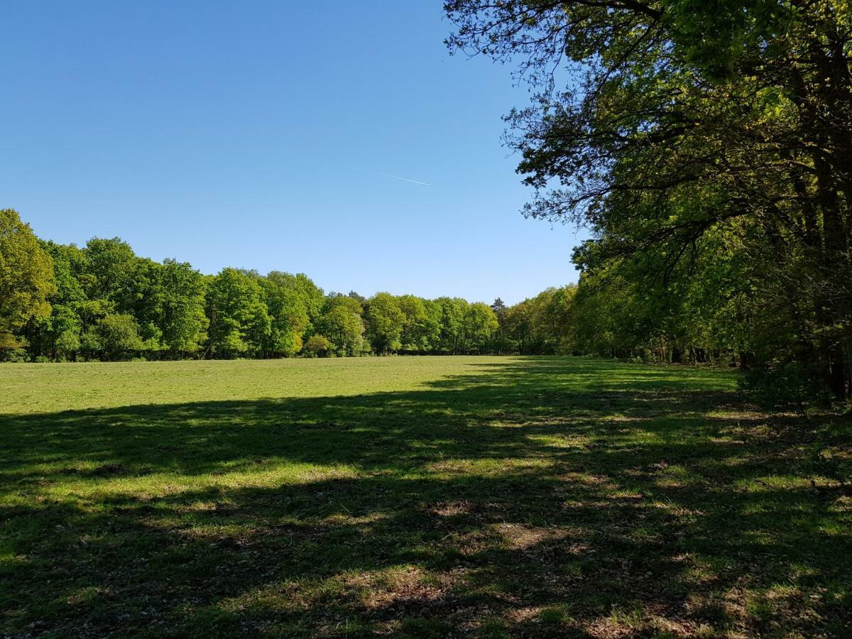 Knusse 5 Persoons Bungalow Hartje Veluwe 欧特罗 外观 照片